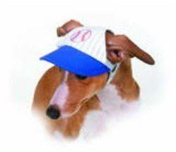 Ball Cap