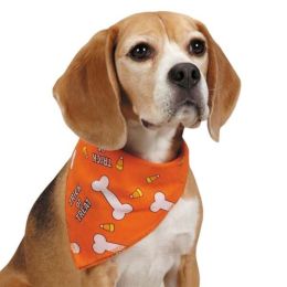Aria Trick Or Treat Bandana