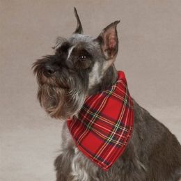 Holiday Tartan Dog Bandana