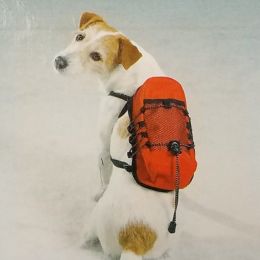 Casual Canine Pup Pack
