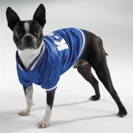 Baseball Jacket (Option One: Large)
