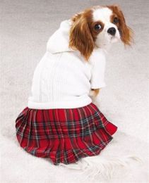 Back To School Jumper (Option One: XLarge)