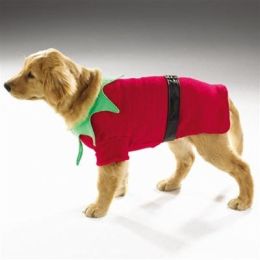 Santa's Elf Suit (Option One: Medium)