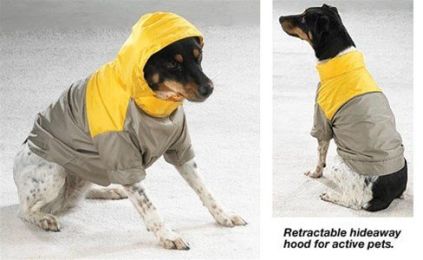 Tech Windbreaker (Option One: Large)
