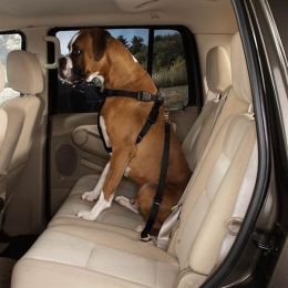 Guardian Gear Car Harness (Option One: XtraSmall)