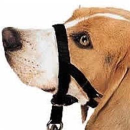 Halti Head Collar (Option One: 0)
