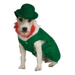 Leprechaun Pet Costume (Option One: XL)
