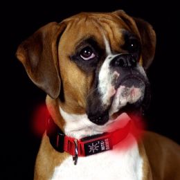 Nite Ize Nite Dawg LED Pet Collar (Option One: Medium, Option 2: Red)