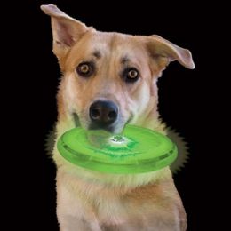Nite Ize FlashFlight Dog Discuit (Option One: Green)