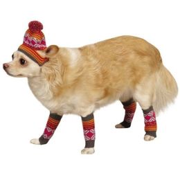 East Side Collection Northern Lights Hat & Leg Warmer Set (Option One: Small, Option 2: Raspberry)