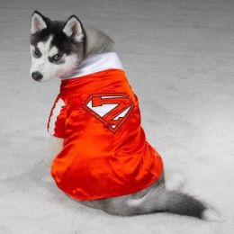 Mighty Mutt Pet Costume (Option One: XS)
