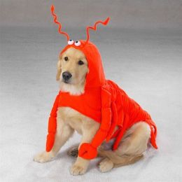 Lobster Paws Costume (Option One: Small)