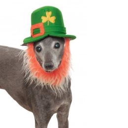 Leprechaun Pet Hat With Beard (Option One: M/L)