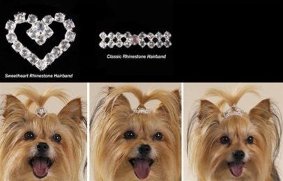 Rhinestone Grooming Accents (Option One: Sweetheart Rhinestone Hairband)