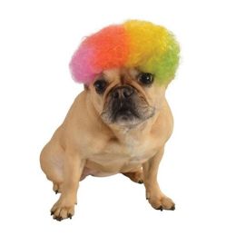 Rainbow Afro Pet Wig (Option One: S/M)