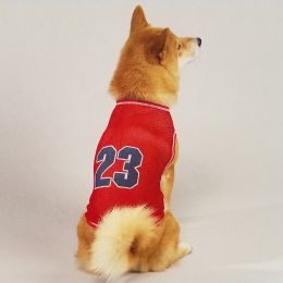 Sport Mesh Tanks Red (Option One: XtraSmall)